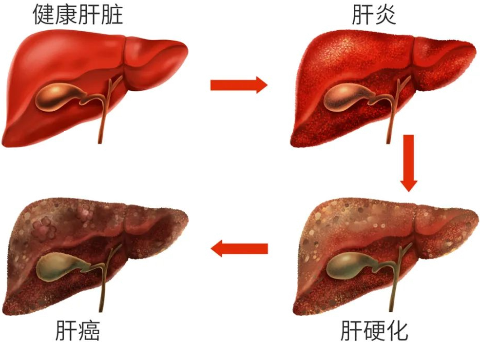 640.png