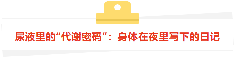 f40428ed-ea80-42fe-907d-ccd8f9659677.png
