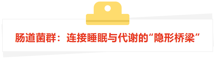 437d313a-75ce-43de-8c5e-8ed599d20037.png