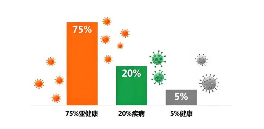 微信图片_2025-12-31_172555_035.jpg 微信图片_2025-12-31_172555_035.jpg