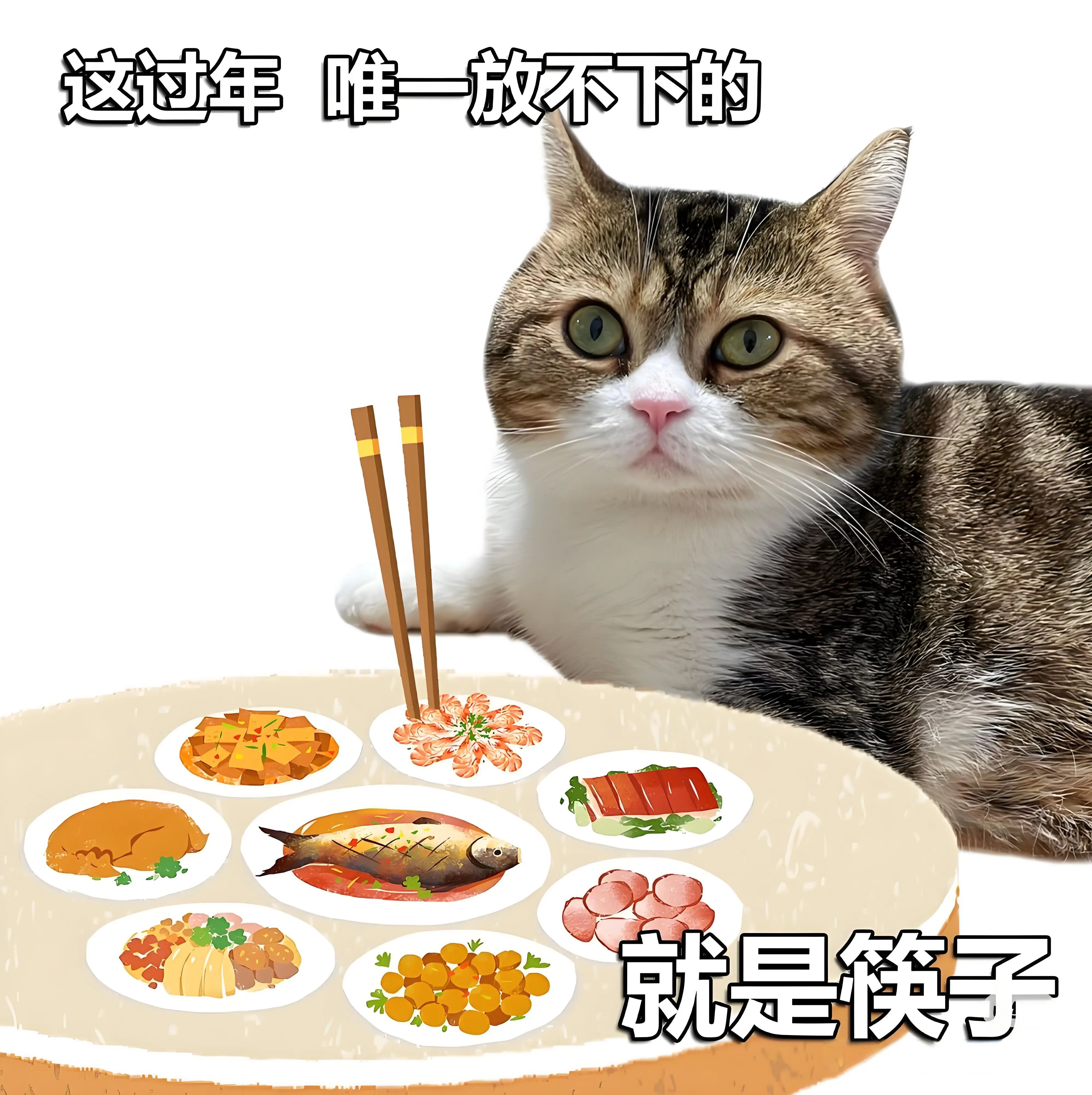 微信图片_2025-12-31_181357_539.jpg 微信图片_2025-12-31_181357_539.jpg