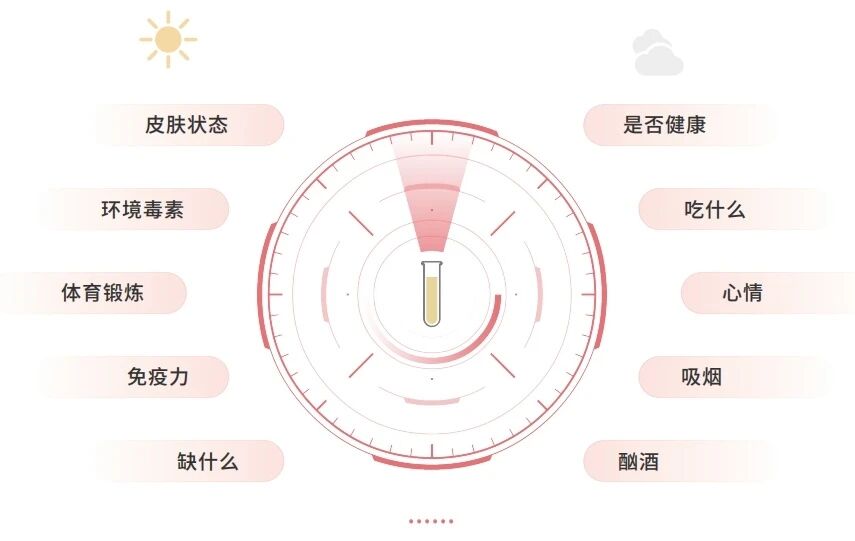 微信图片_2025-12-31_182348_791.jpg 微信图片_2025-12-31_182348_791.jpg
