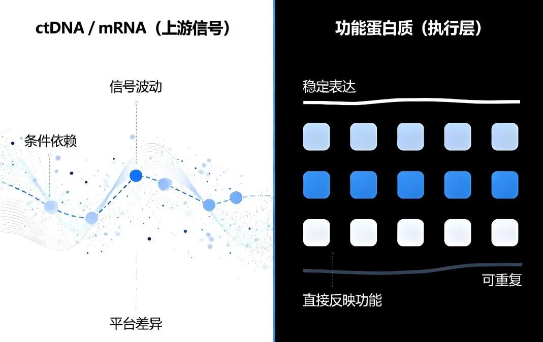 微信图片_2026-01-30_163943_020.jpg