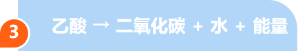151c7dce-0a1e-4436-b296-cebc8757b35c.png