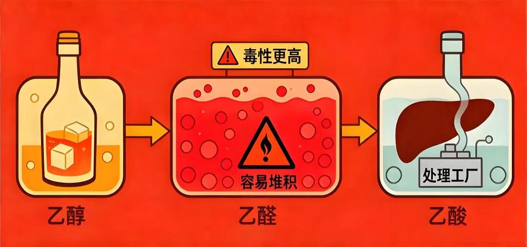 微信图片_2026-02-26_172222_142.jpg