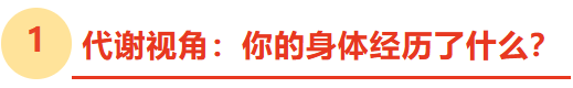 28f08ab3-02d3-49dd-a52d-2aff3d59e0b7.png