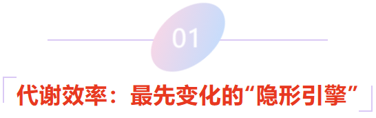 bab71df2-fe28-4da6-9fad-41fdecbeddb2.png
