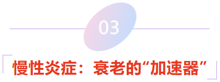 0f801c58-b34a-486e-9842-9cc0ebd61f64.png