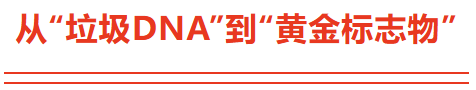 4c99e3a0-ed96-4b9d-a9b9-07bdb09b309c.png